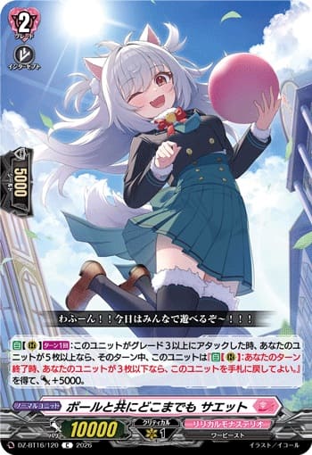 ボールと共にどこまでも サエット